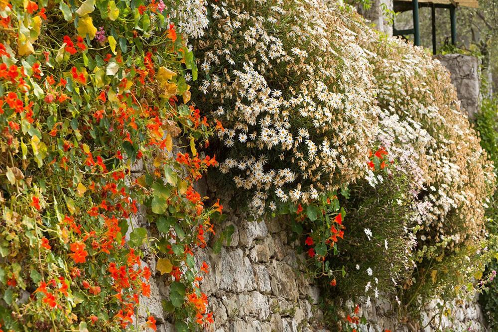 Mas Thomasine Sejour Romantique Au Calme Peillon Εξωτερικό φωτογραφία